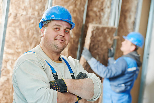 Best Insulation Installation Services in Ferndale, MI