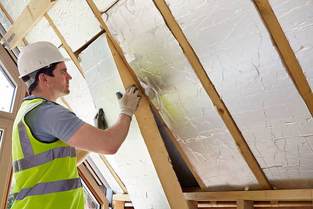 Best Insulation Maintenance and Repair in Ferndale, MI